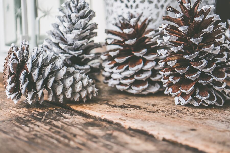8. Dezember: Öffnungszeiten
